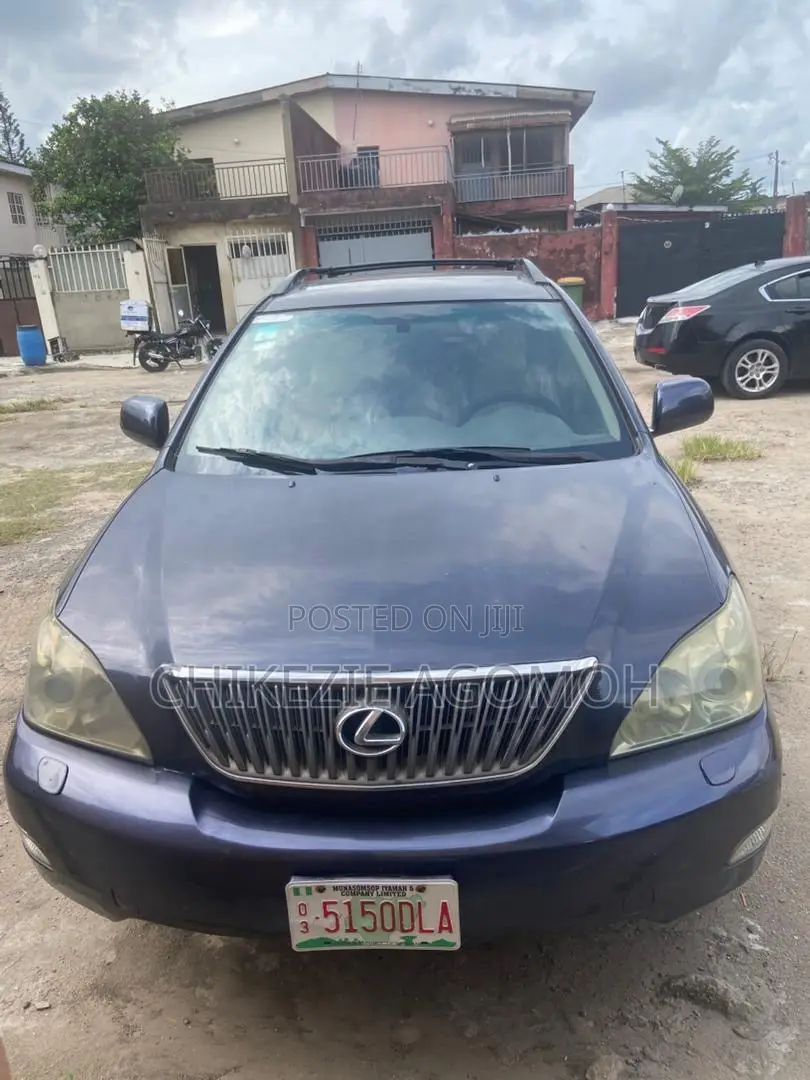 Lexus RX 330 2005 Gray