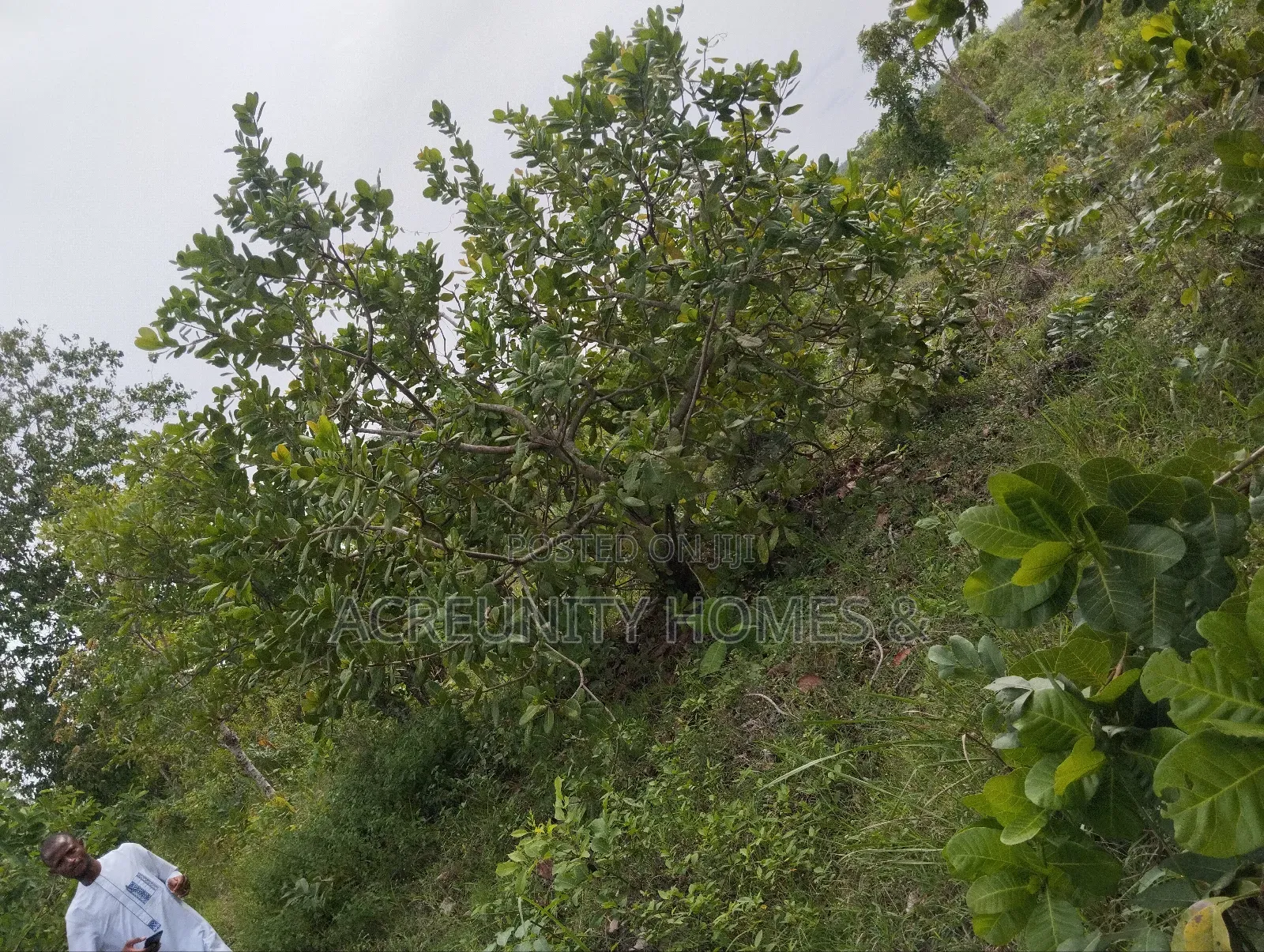 10 Acres of Commercial Land Available Iseyin-Ipapo Xpres Way Oyo State