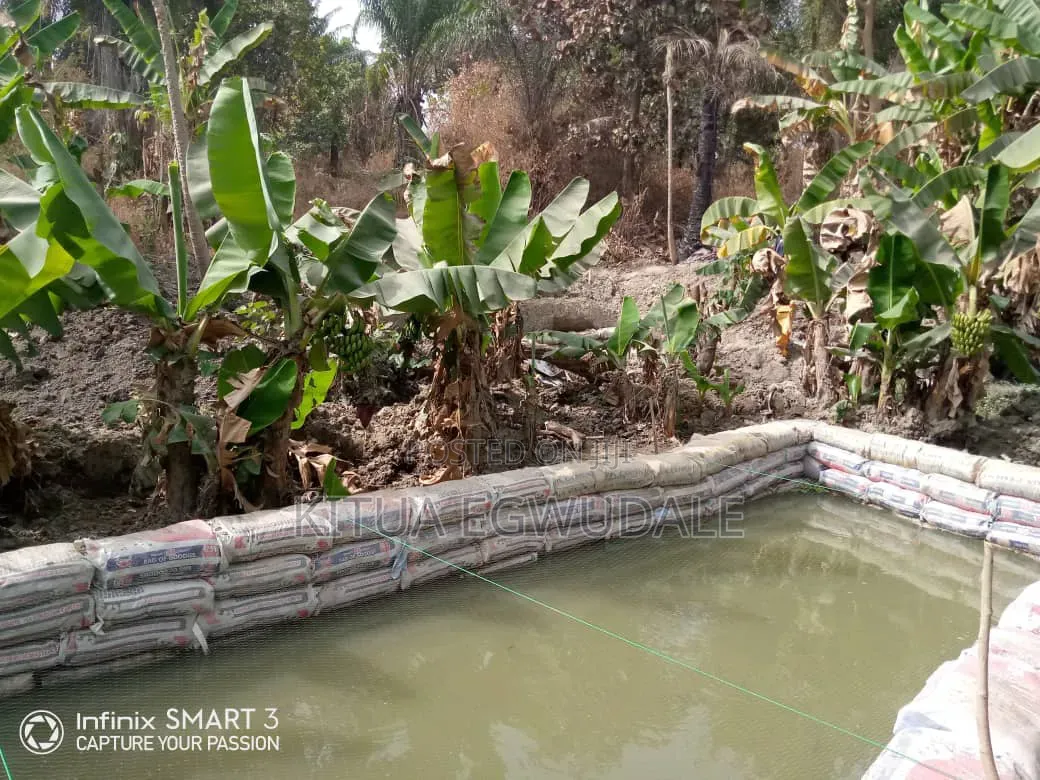 Fish Farming Startups