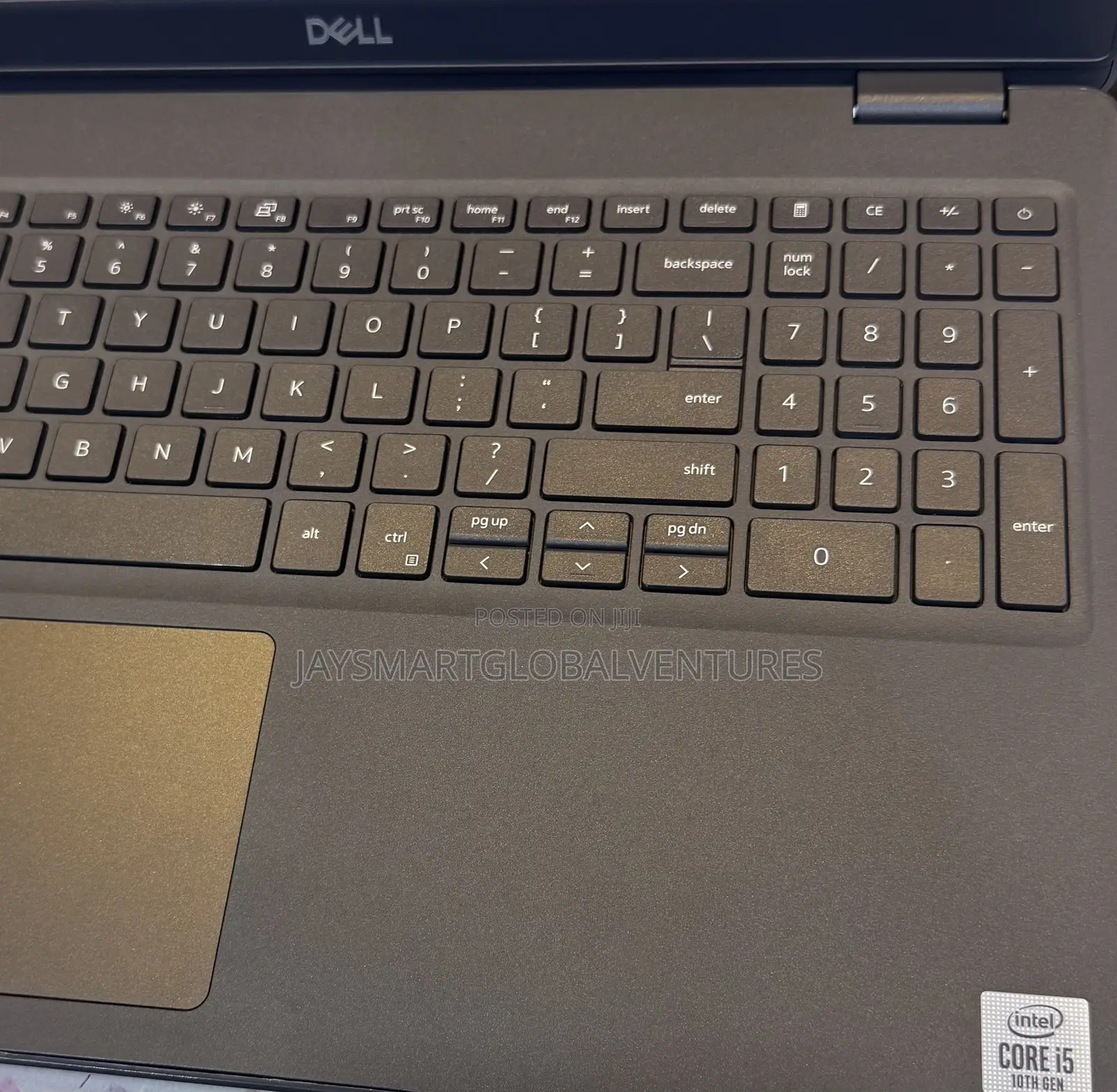 Laptop Dell Latitude 3510 8GB Intel Core i5 SSD 256GB