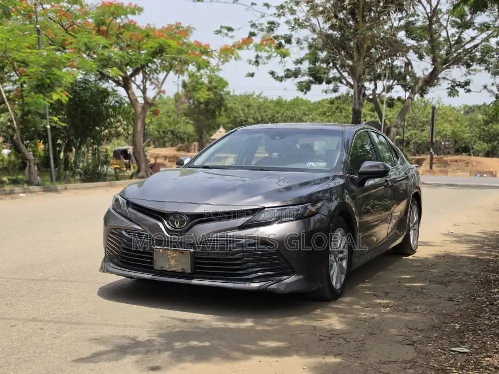 Toyota Camry LE (2.5L 4cyl 8A) 2019 Gray
