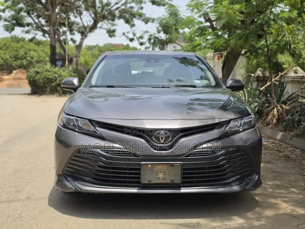Toyota Camry LE (2.5L 4cyl 8A) 2019 Gray