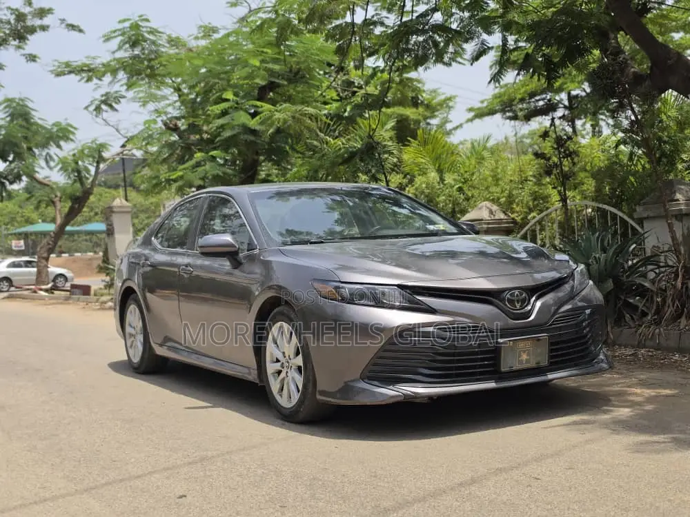 Toyota Camry LE (2.5L 4cyl 8A) 2019 Gray