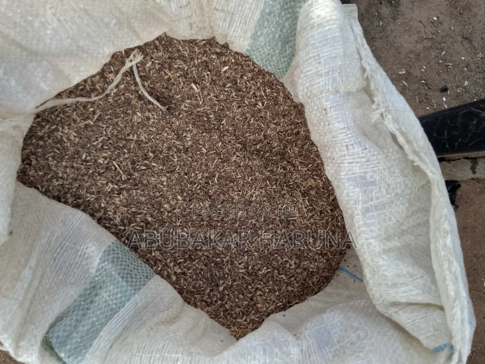Mucuna, Lablab, Stylo, Leuceana, Moringa, Centrosema, and Other Seeds