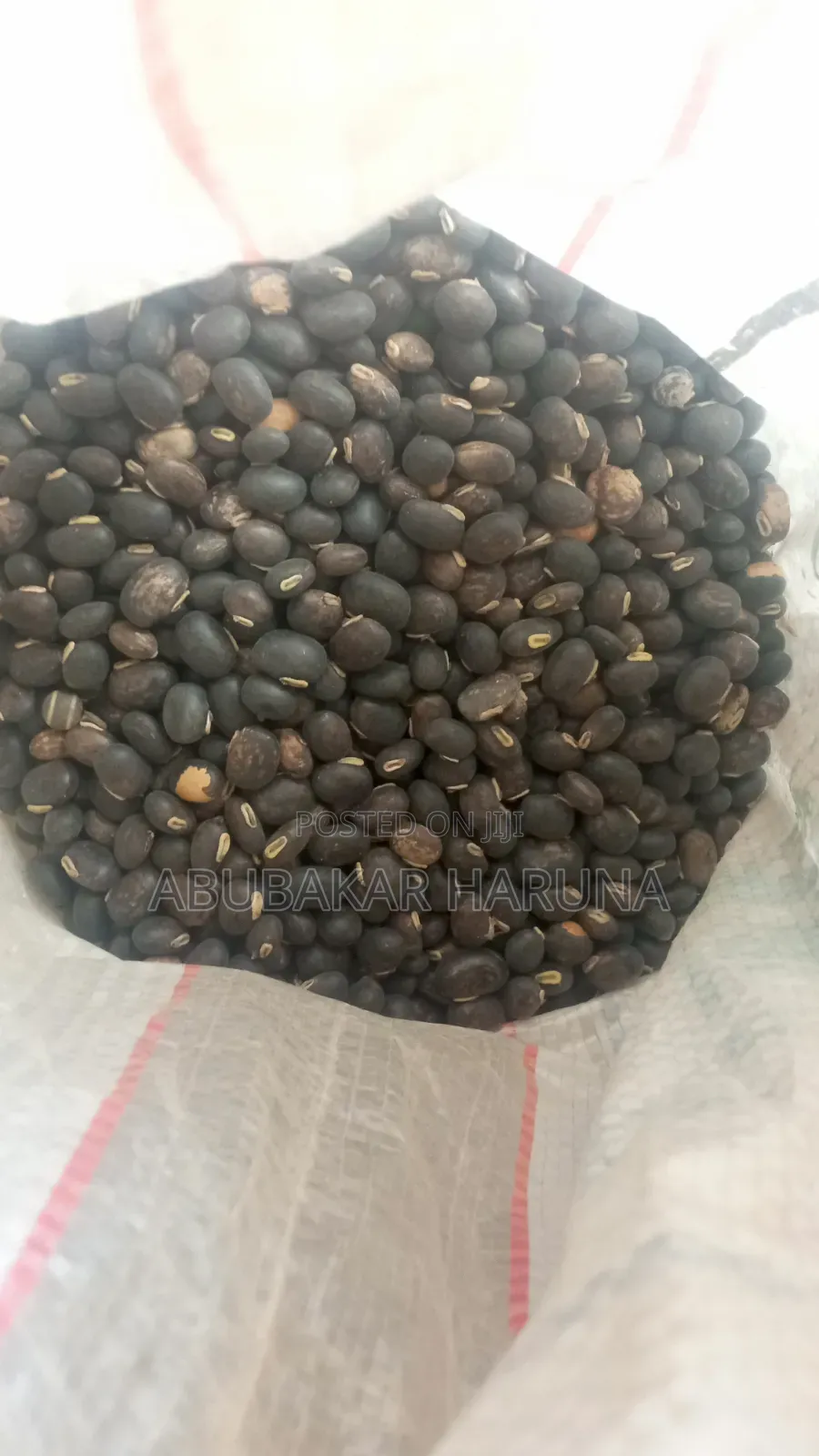 Mucuna, Lablab, Stylo, Leuceana, Moringa, Centrosema, and Other Seeds