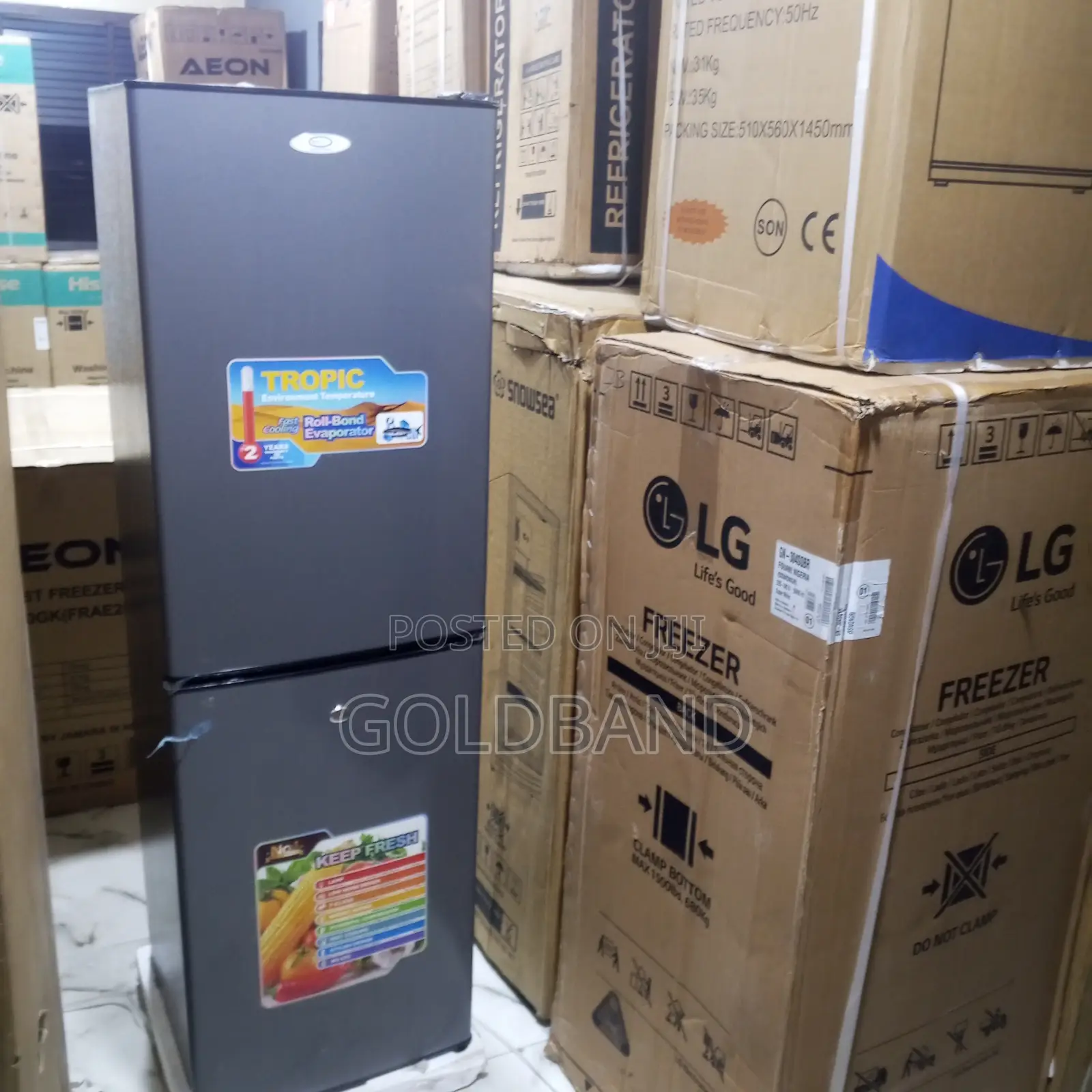 Tekno Cool 250 Litres Fridge Bottom Freezer – Energy Efficient