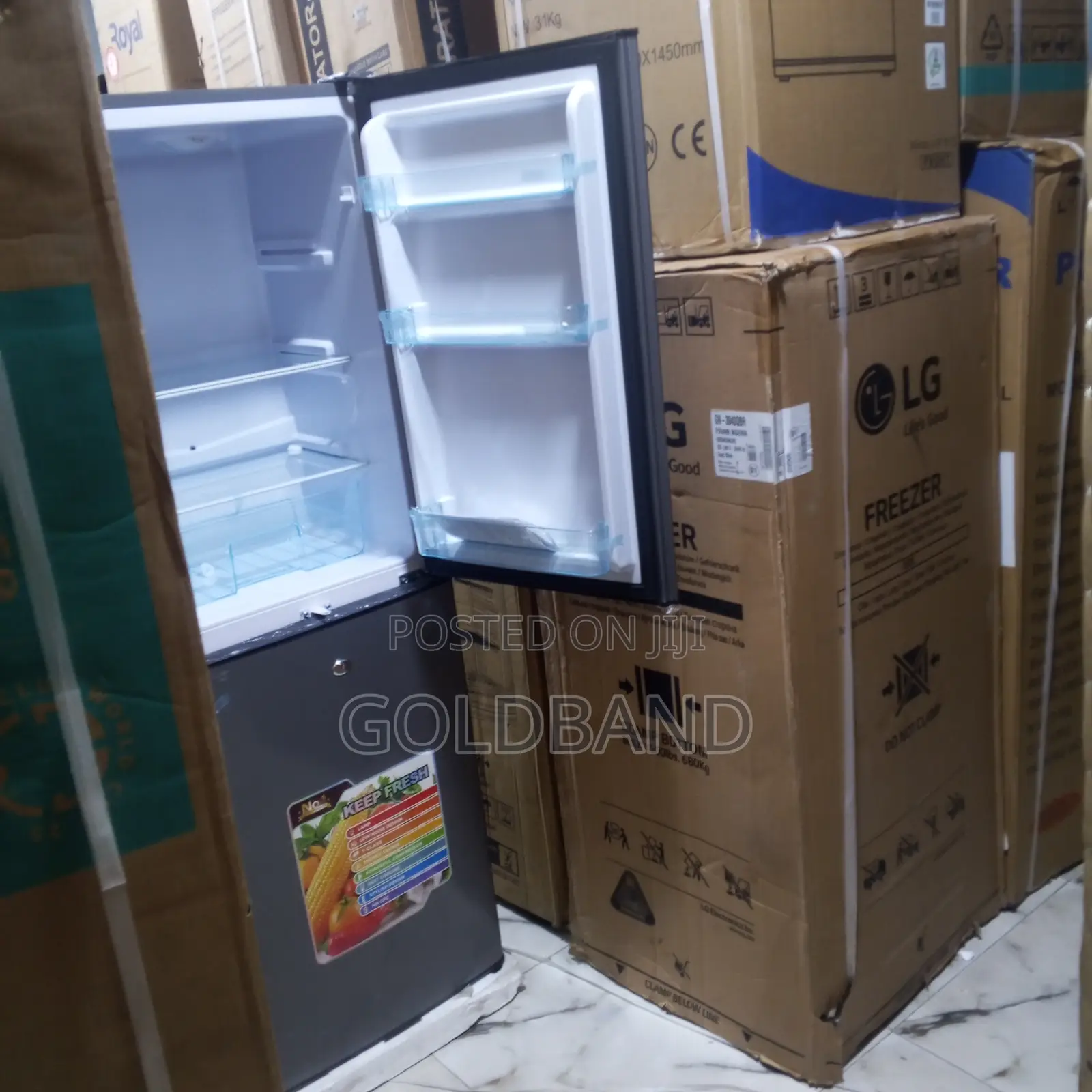 Tekno Cool 250l Bottom Freezer Fridge – Modern Design