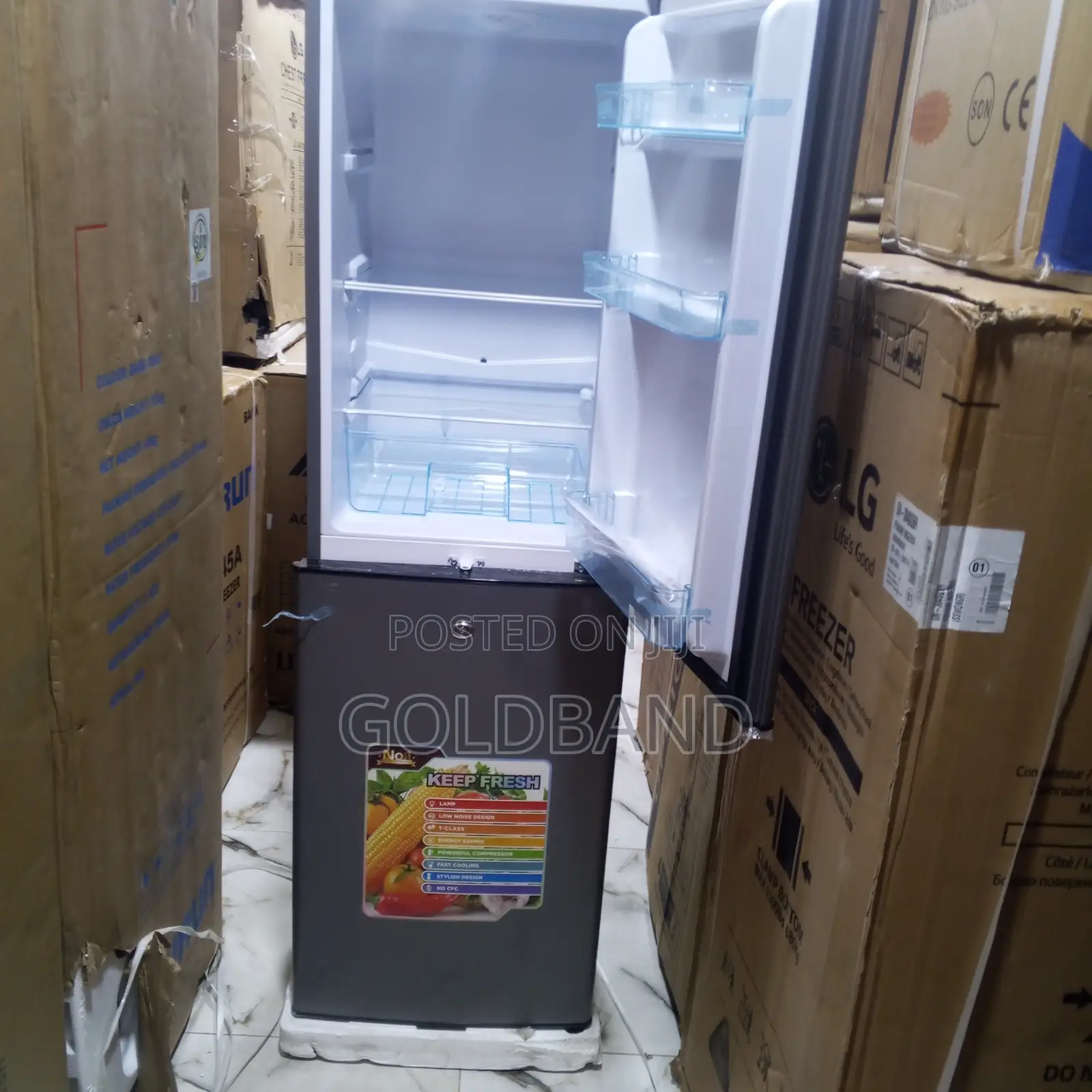Tekno Cool 250 Litres Refrigerator – Low Power Consumption