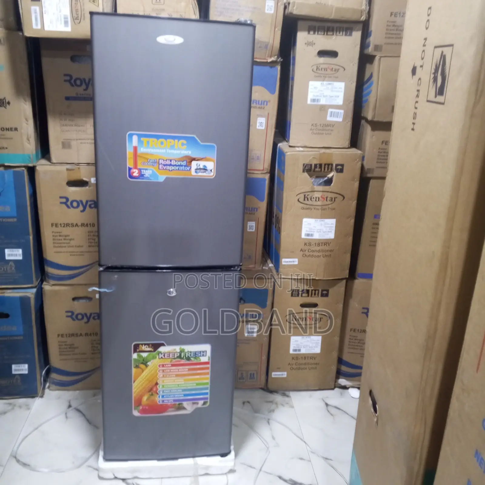 Tekno Cool 250l Fridge – Stylish Energy Saving