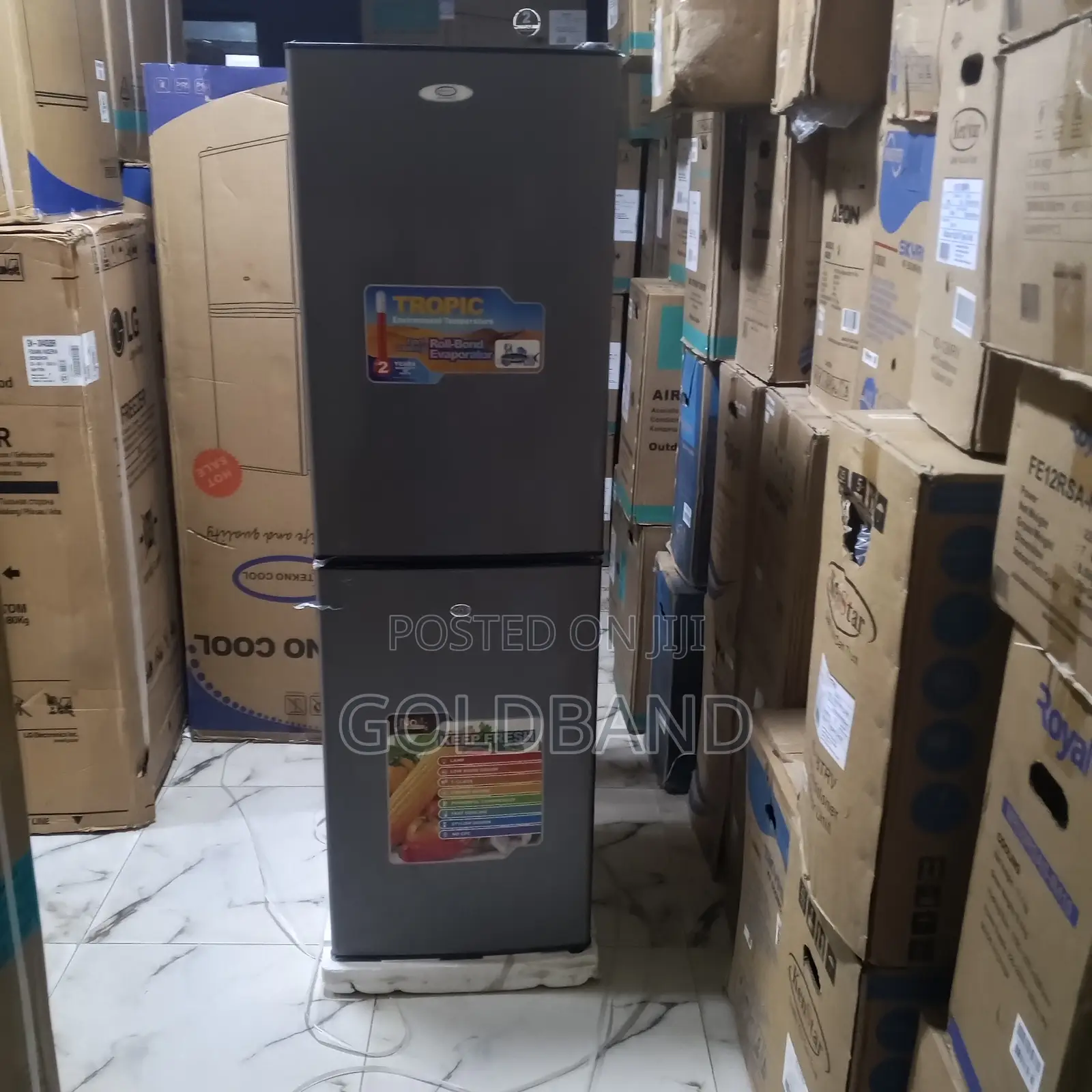 Tekno Cool 250 Litres Fridge – Fresh Food Preservation