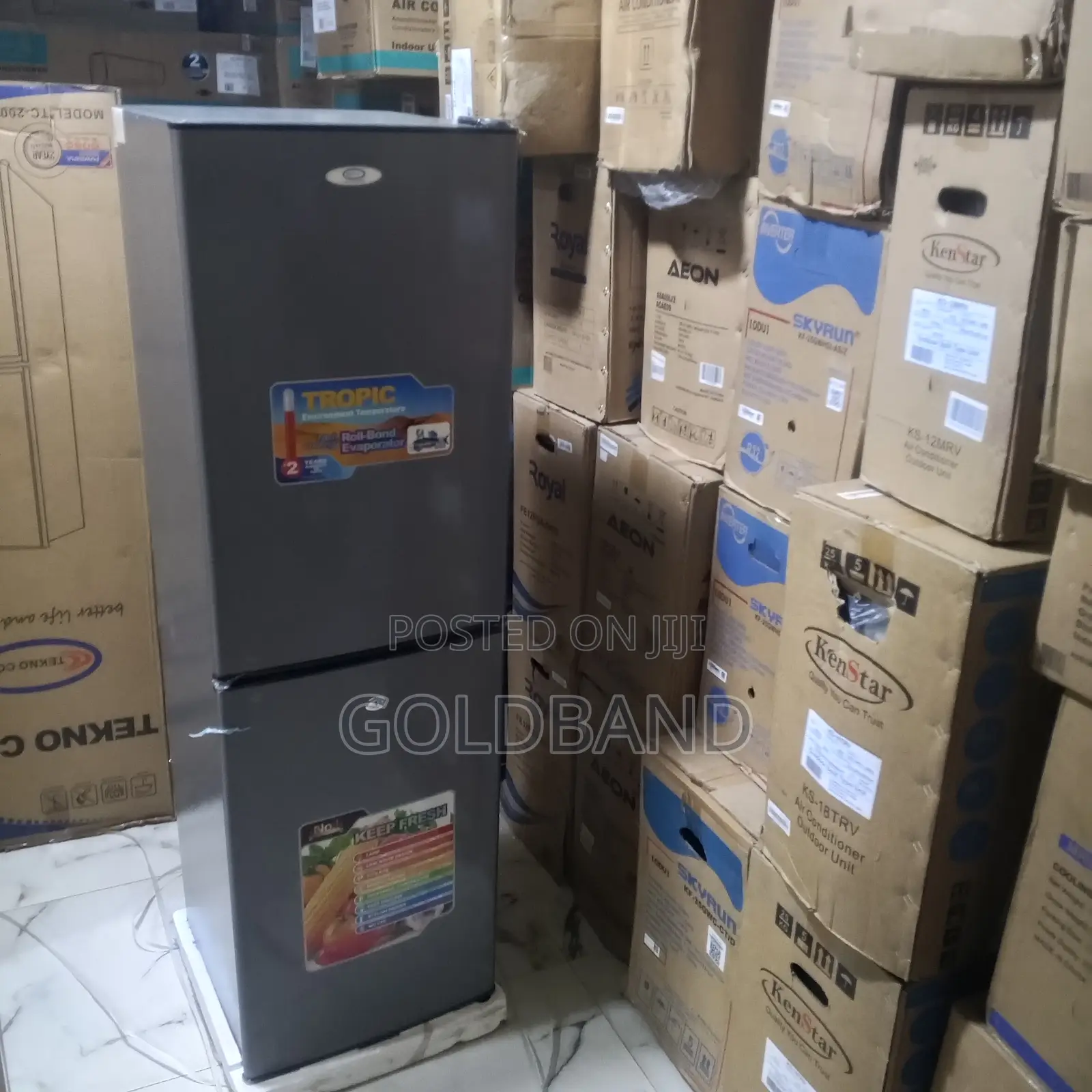 Tekno Cool 250l Bottom Freezer Fridge – Family Size