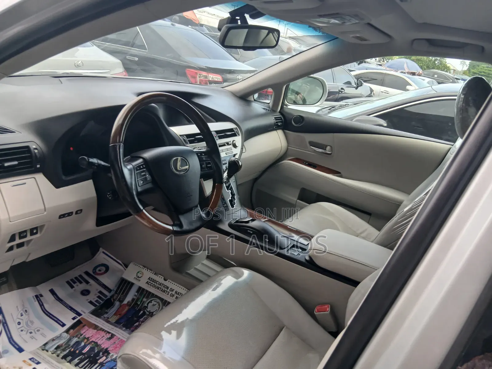 Lexus RX 350 2010 Silver
