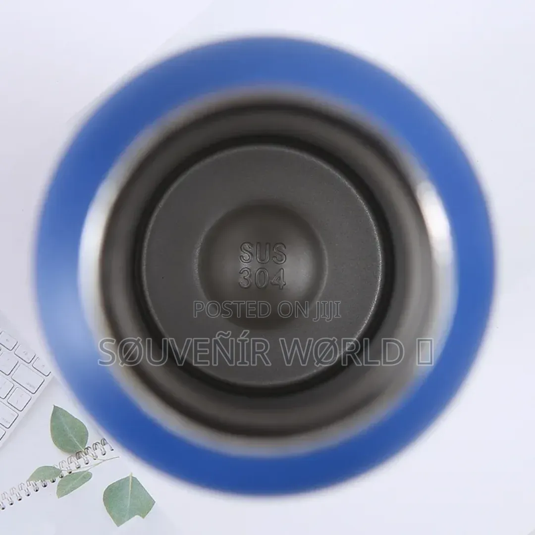 Stainless Steel Vacuum Insulated Water Bottle (Portable Flask)