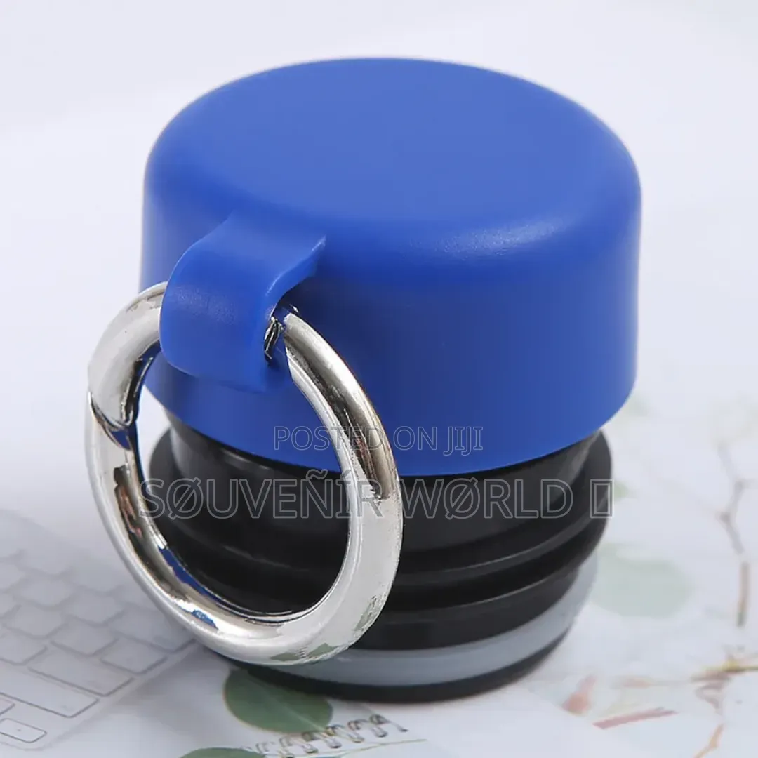 Stainless Steel Vacuum Insulated Water Bottle (Portable Flask)