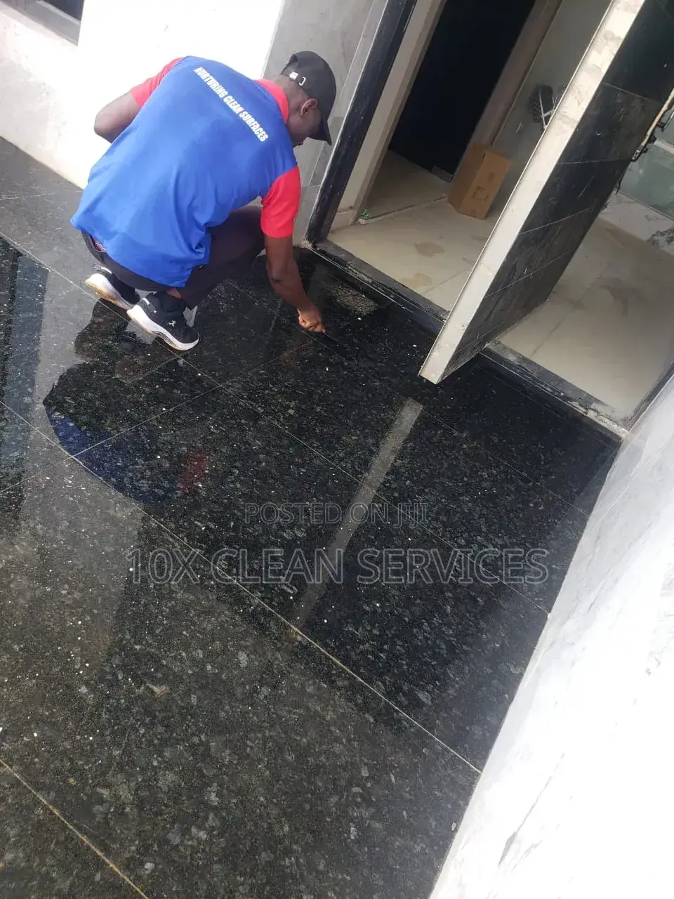 Premium Cleaning and Fumigation Services
