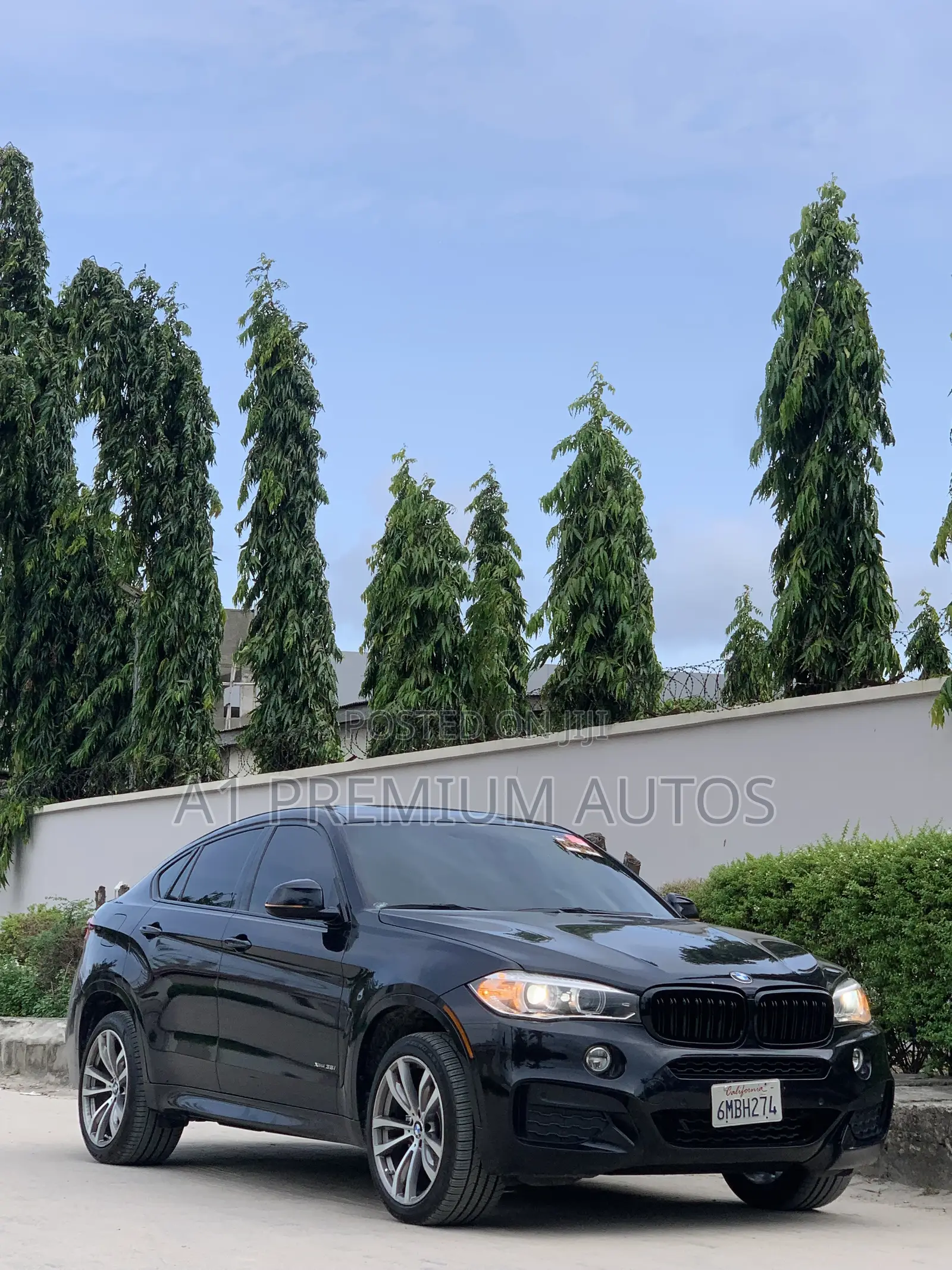 BMW X6 xDrive35i Coupe 4x4 (3.0L 6cyl 8A) 2016 Black