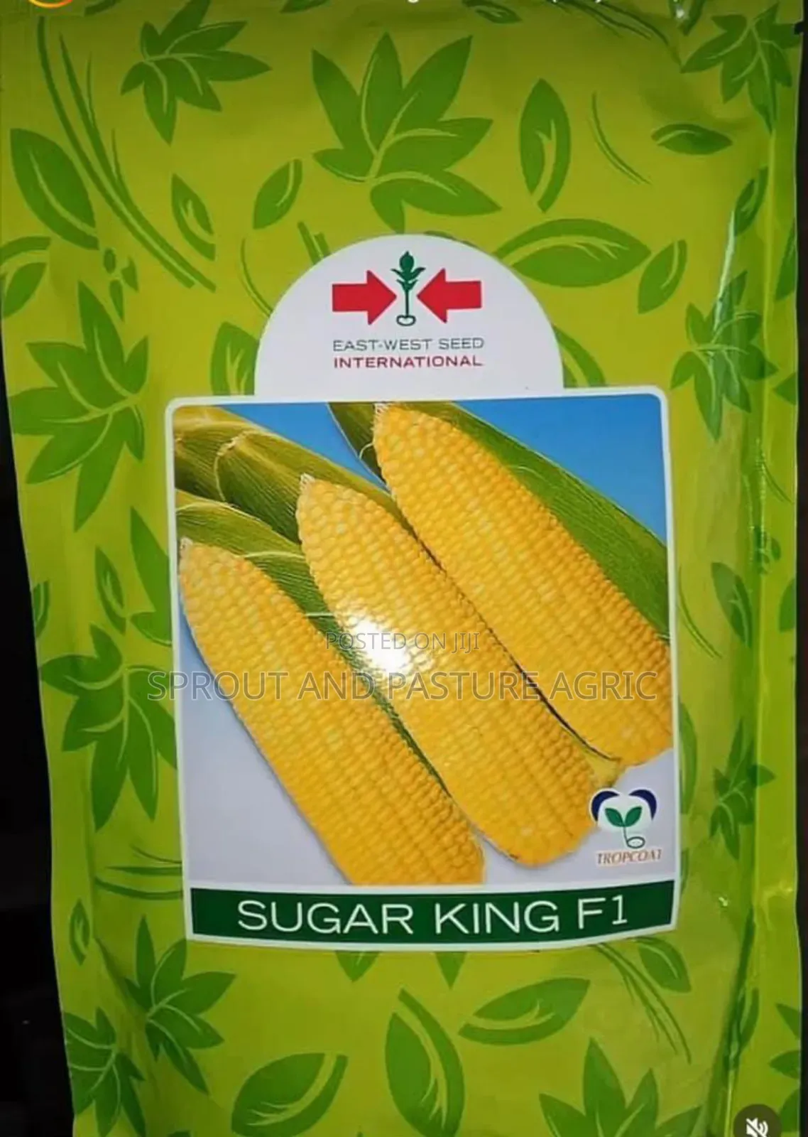 Sugar King Sweetcorn F1