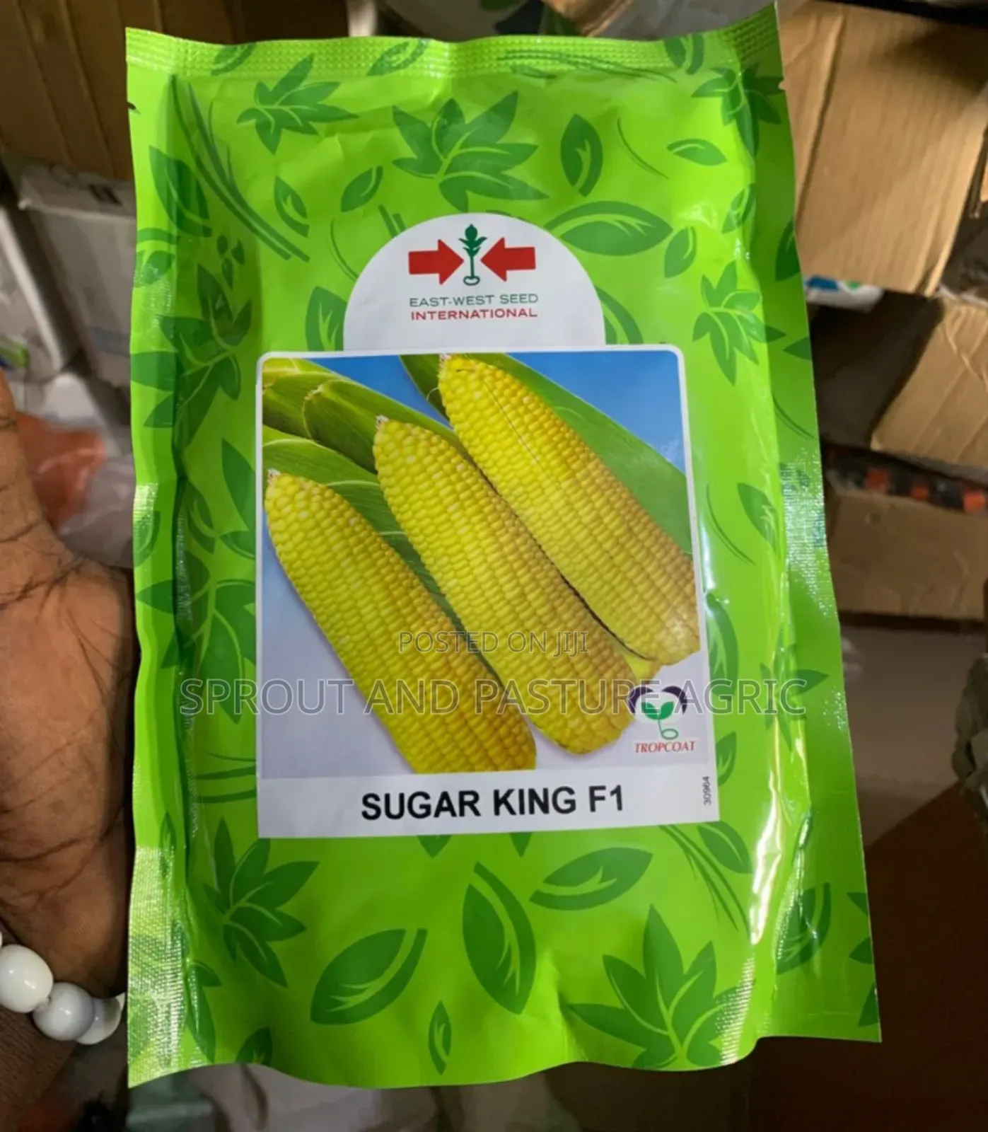 Sugar King Sweetcorn F1