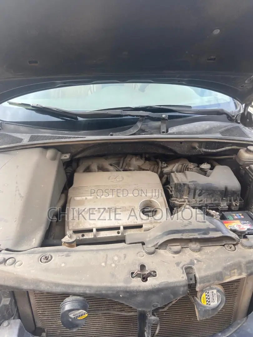 Lexus RX 330 2005 Gray