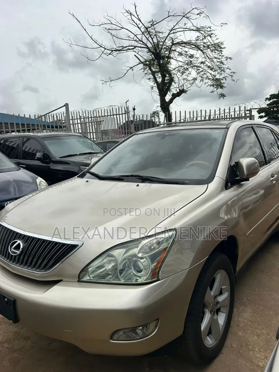 Lexus RX 2006 Gold