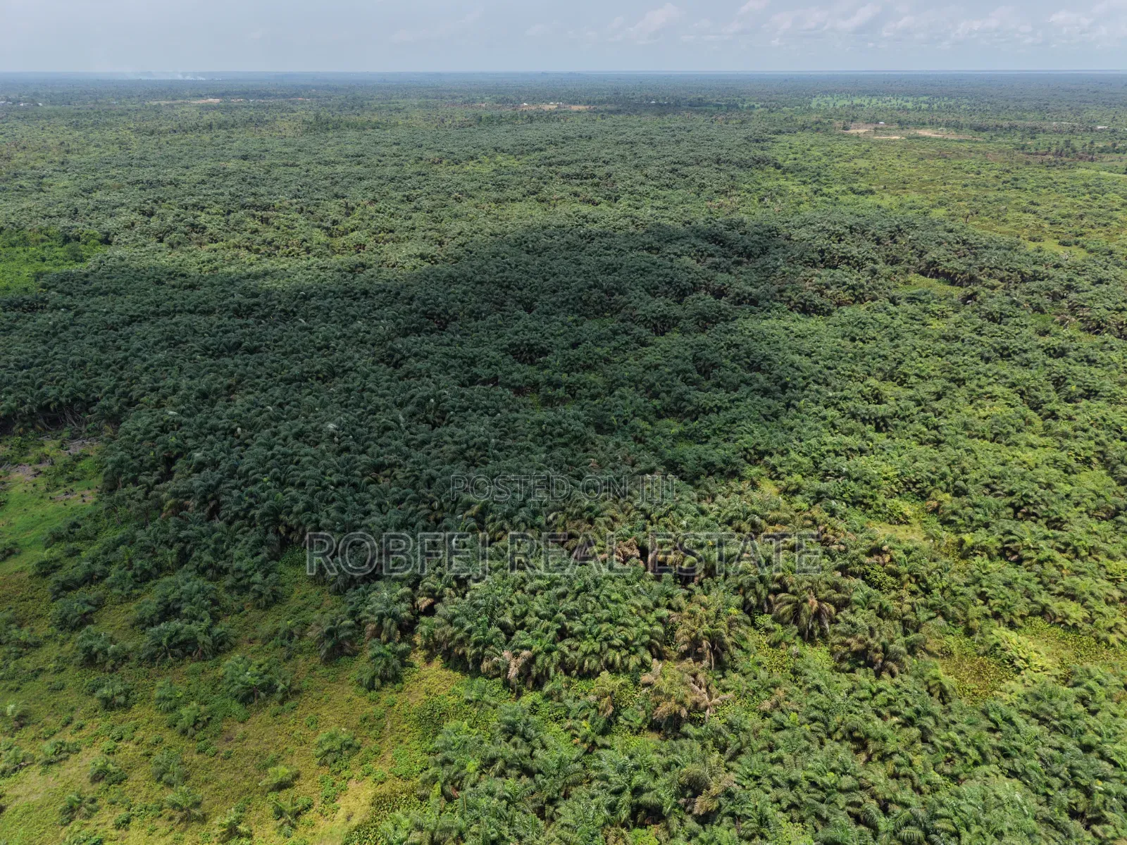 Smart Investors Are Buying in Epe – Don’T Miss This Land Deal