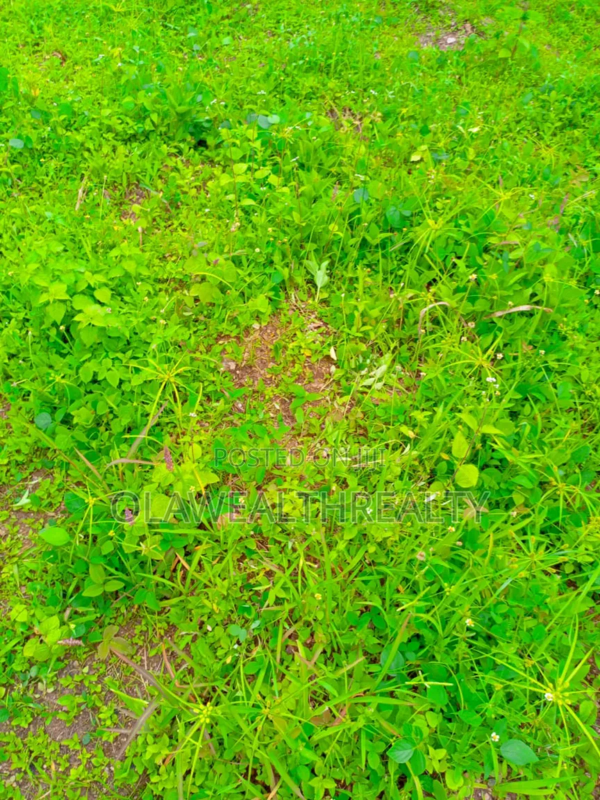 2,400sqm Commercial Land at Asokoro