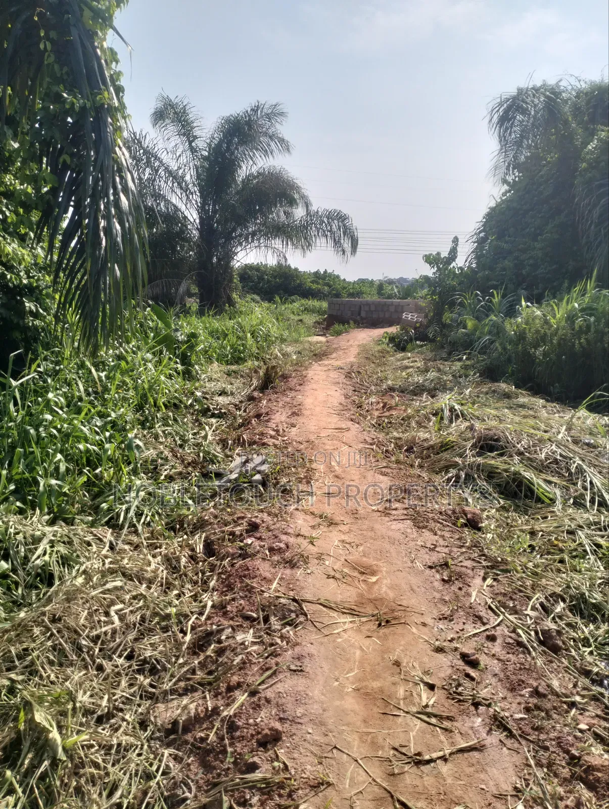 Land Inside Royal Estate Isheri Olofin Lagos