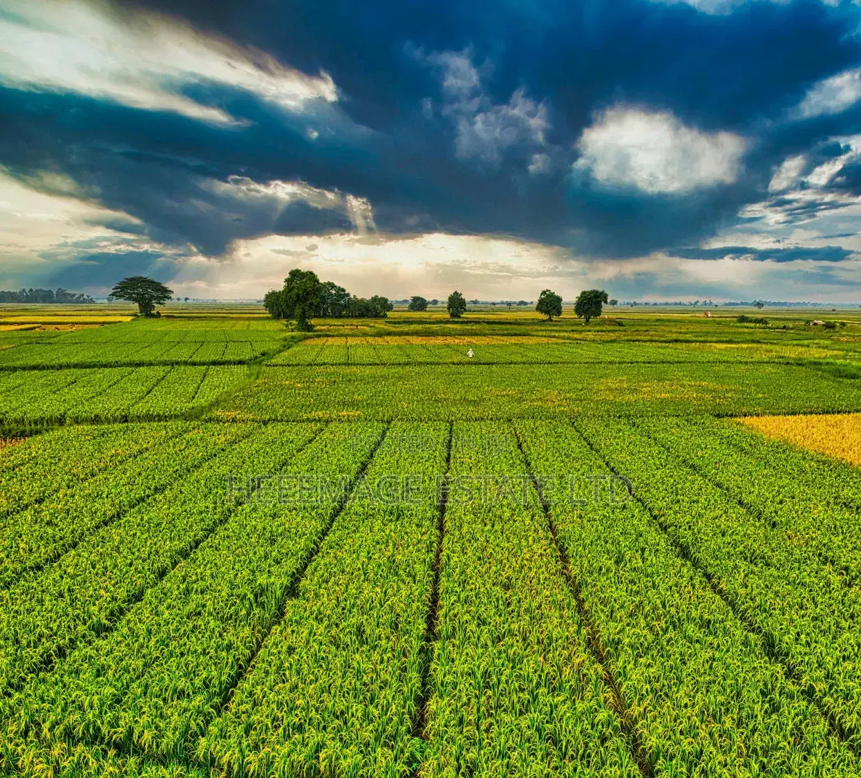1.5hectares Dobi Farmland
