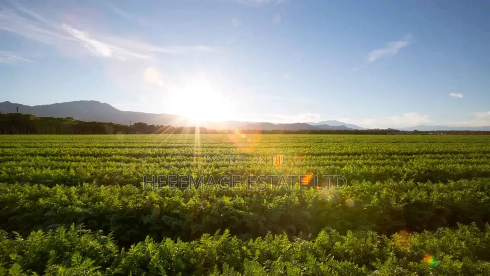 1.5hectares Dobi Farmland