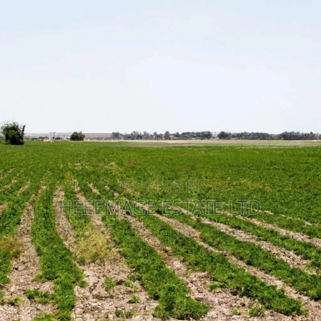 1.5hectares Dobi Farmland