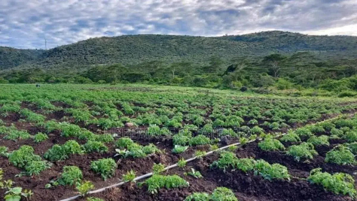 1.5hectares Dobi Farmland