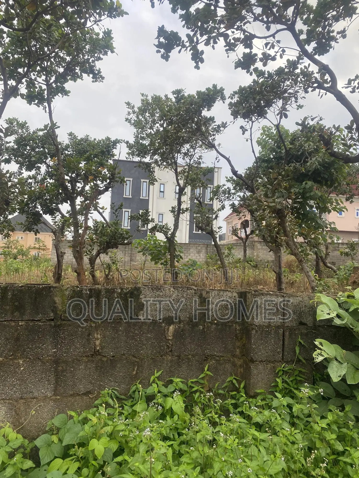 Certificate Of Occupancy