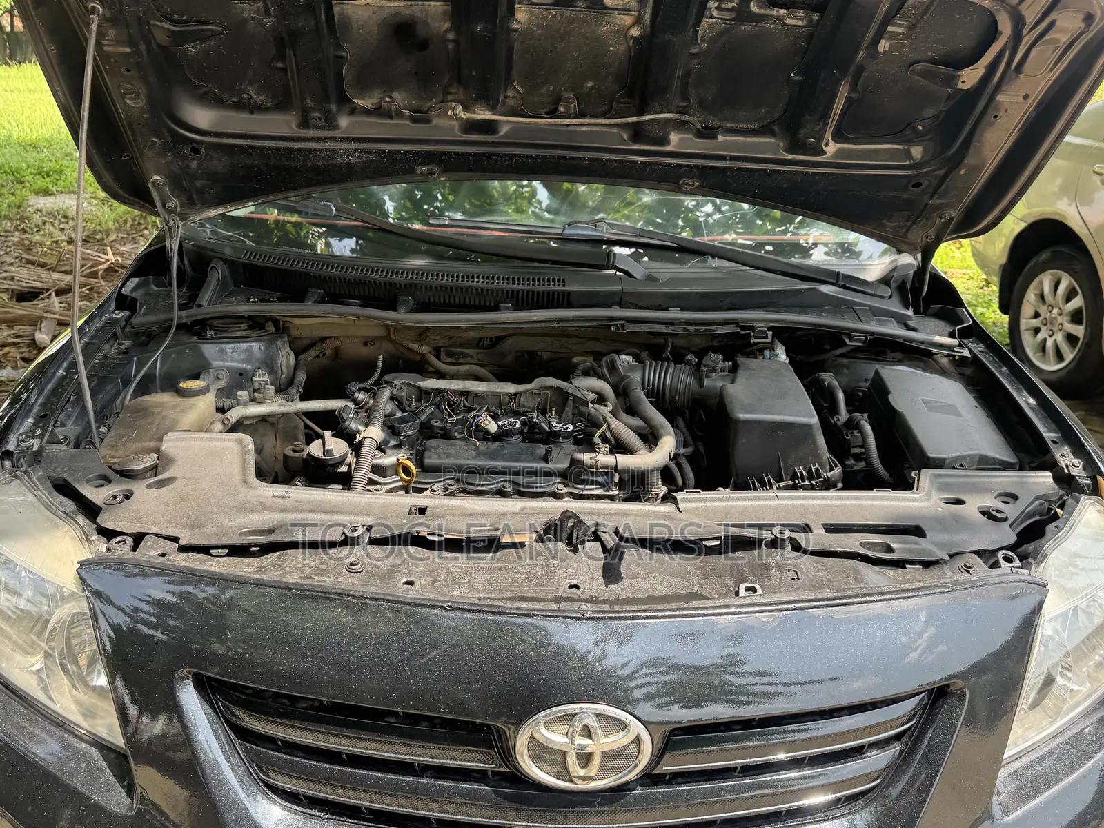 Toyota Corolla 2009 Gray