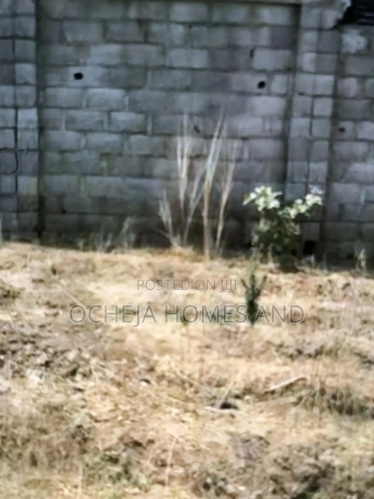 600sqm Dawaki Buildable