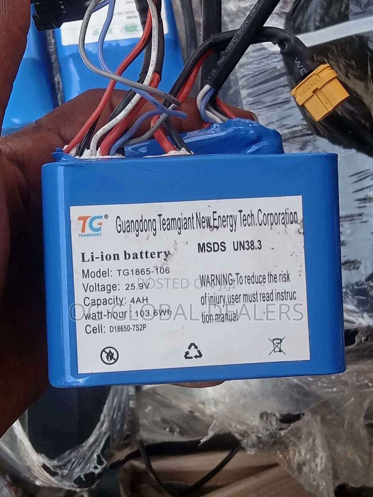 Teamgiant Li-Ion Battery Pack (Replacement Battery for Hoverboard)