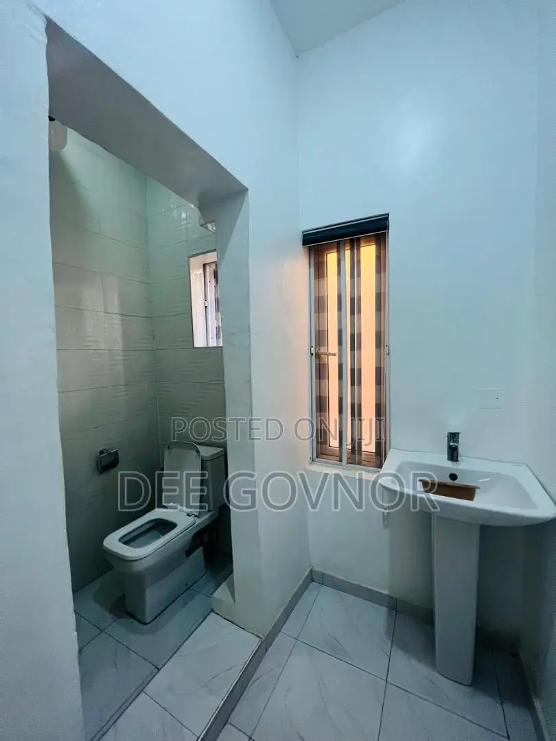 Furnished Mini Flat in Ikate for rent
