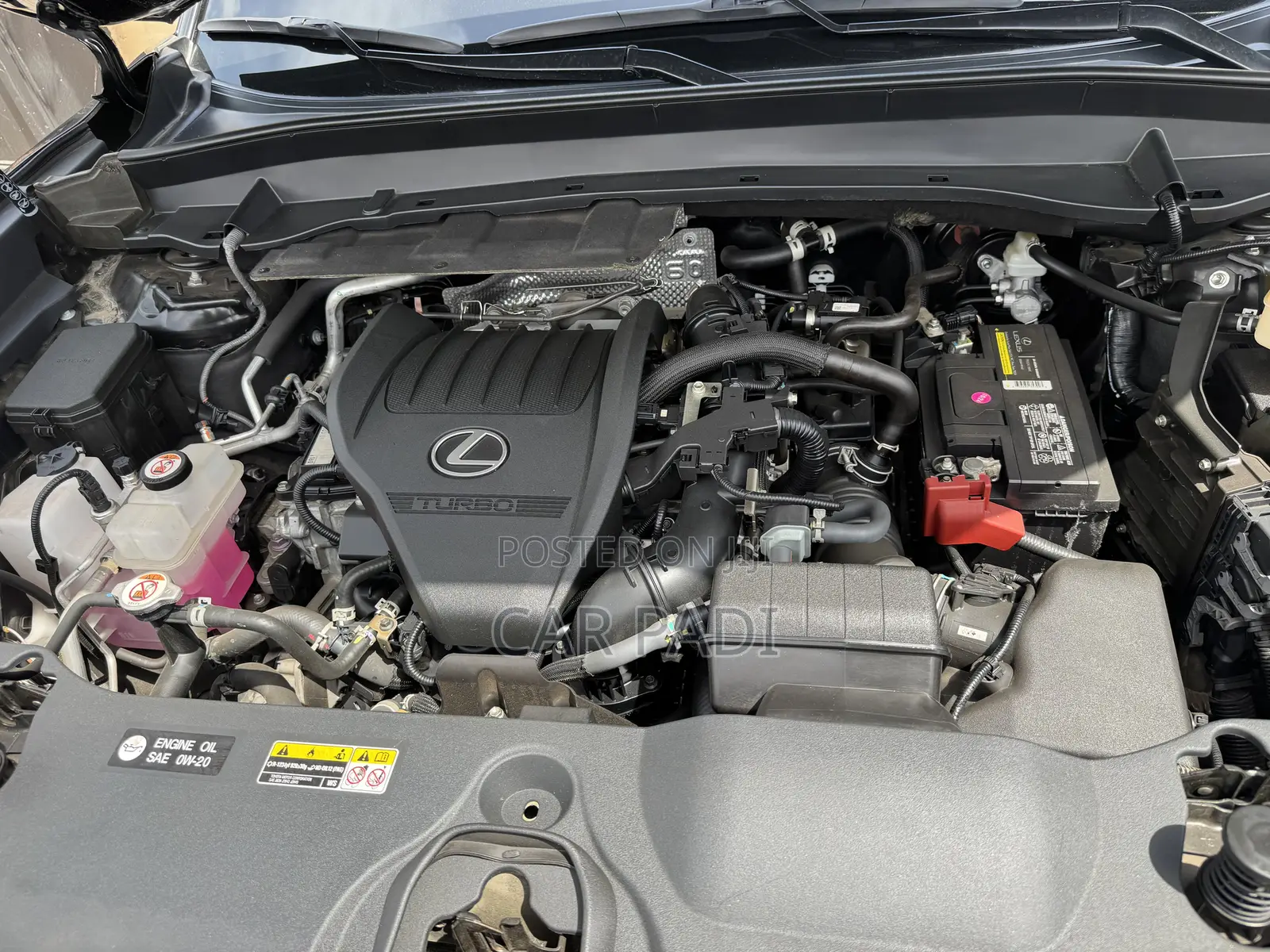Lexus TX 2024 Gray