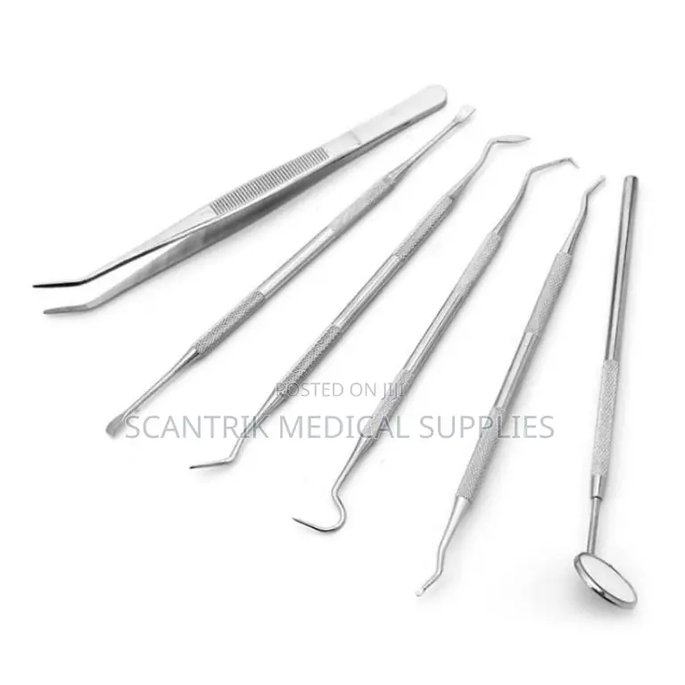 Heavy Duty Stainless College Tweezer for Clinical Efficiency