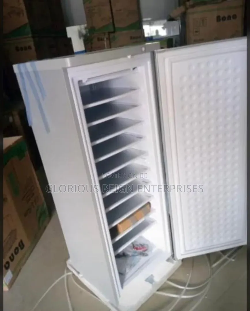 Ice Block Upright Freezer Bona