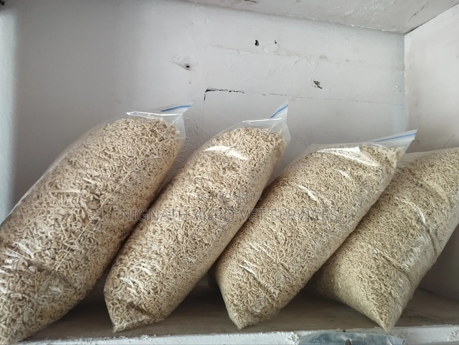 Dog/Cat Food and Accessories