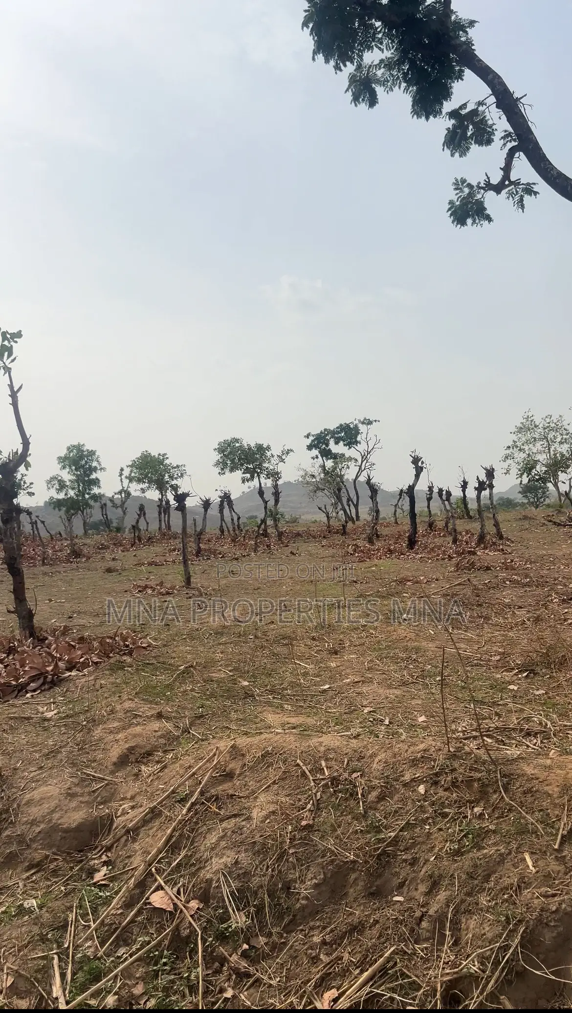 Solar City Apo Burum
