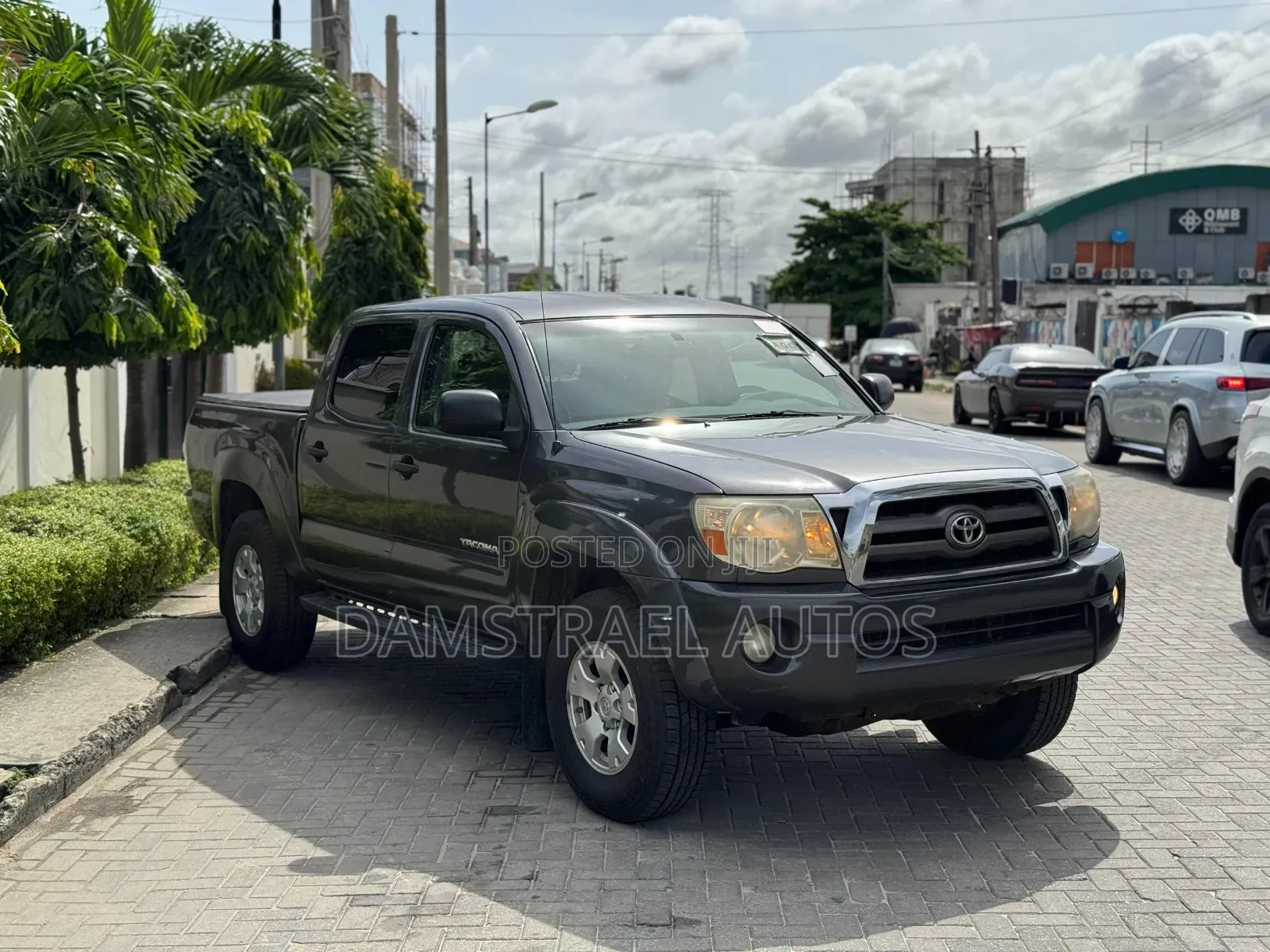 Toyota Tacoma 2010 Gray