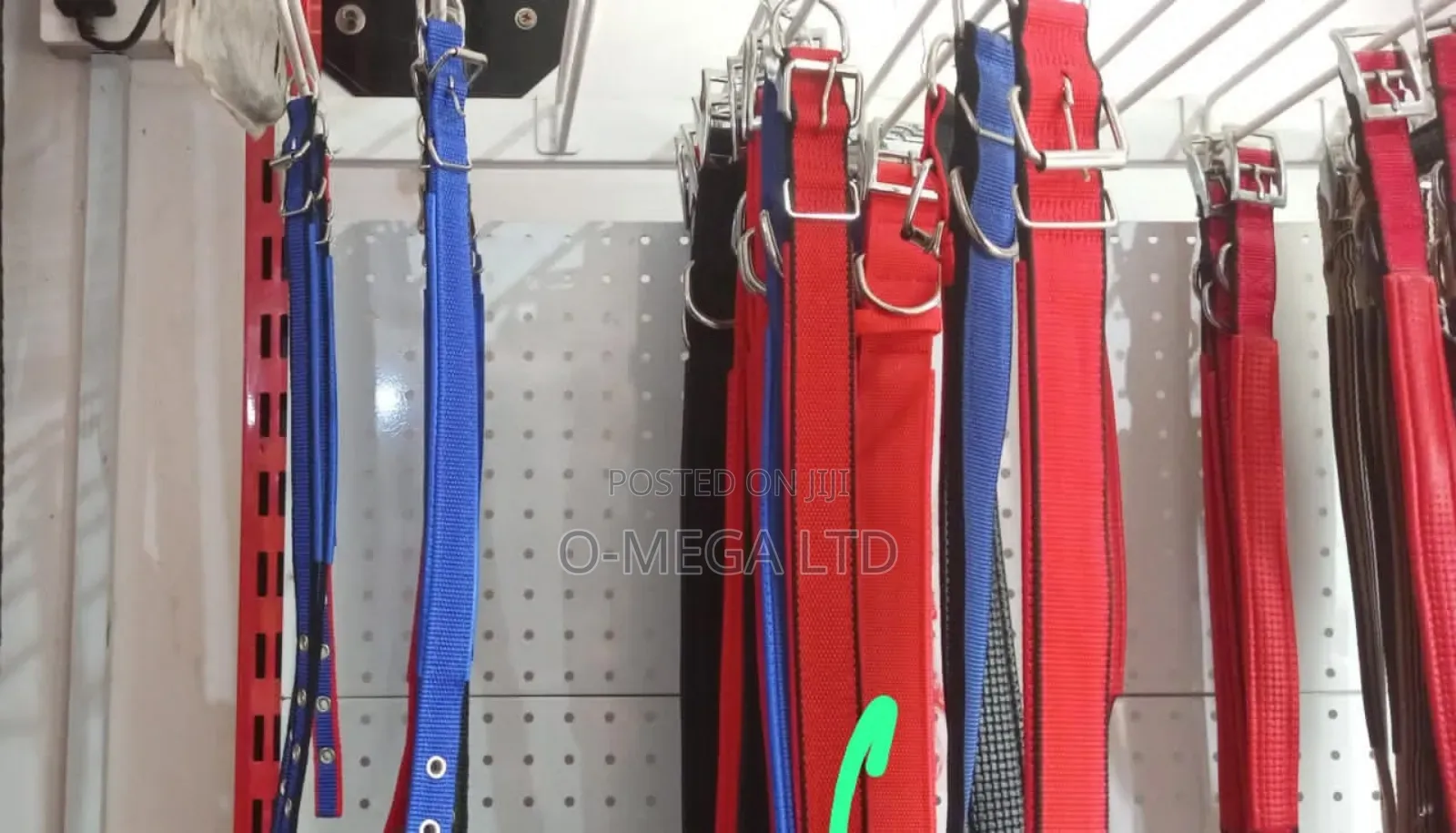 Dog Collar (Different Sizes)
