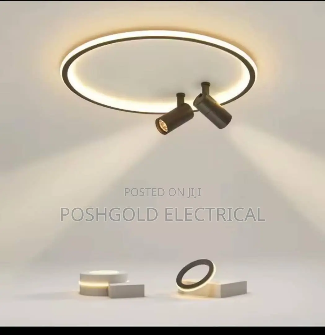 Halo Ring Spotlight Combo Ceiling Light