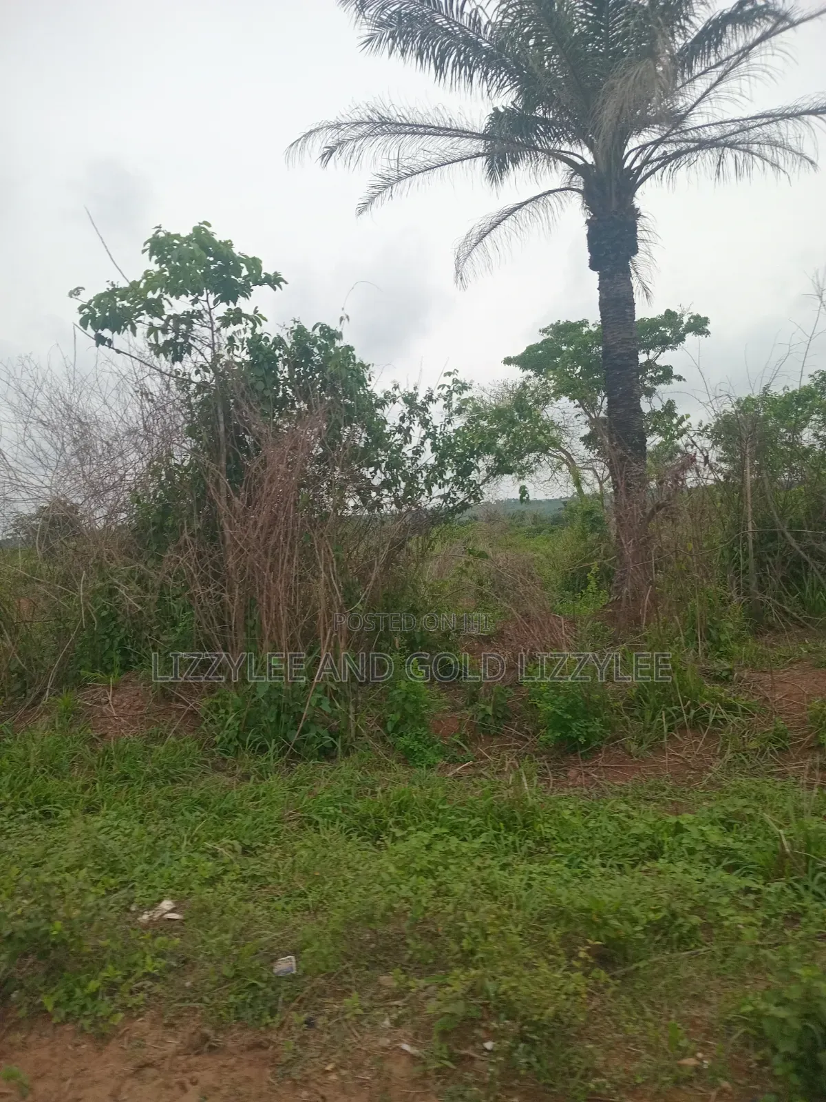 500 Acres of Farmland at Ilaro Available for Sale