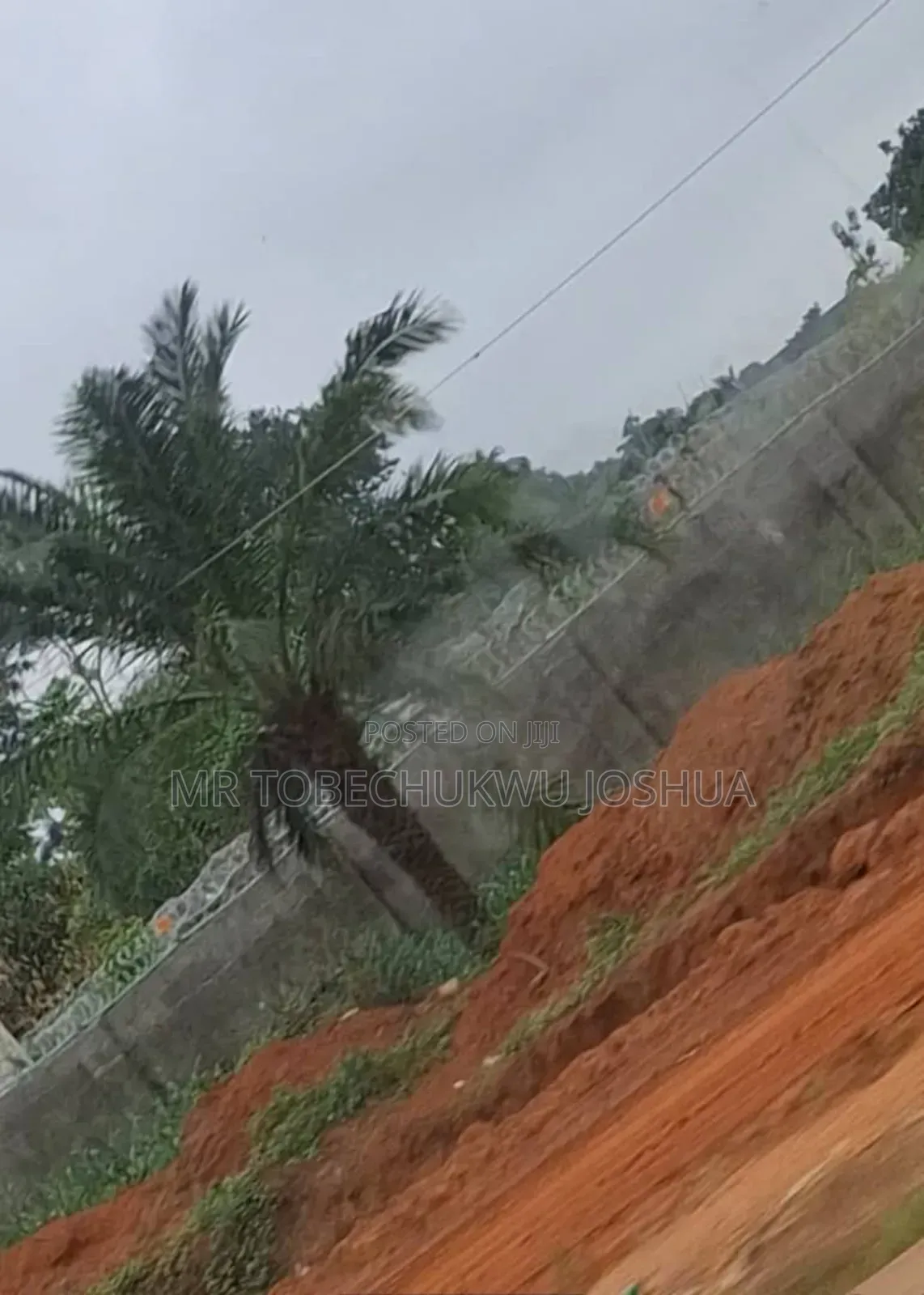 Be a Land Owner With Greater Grace Estates