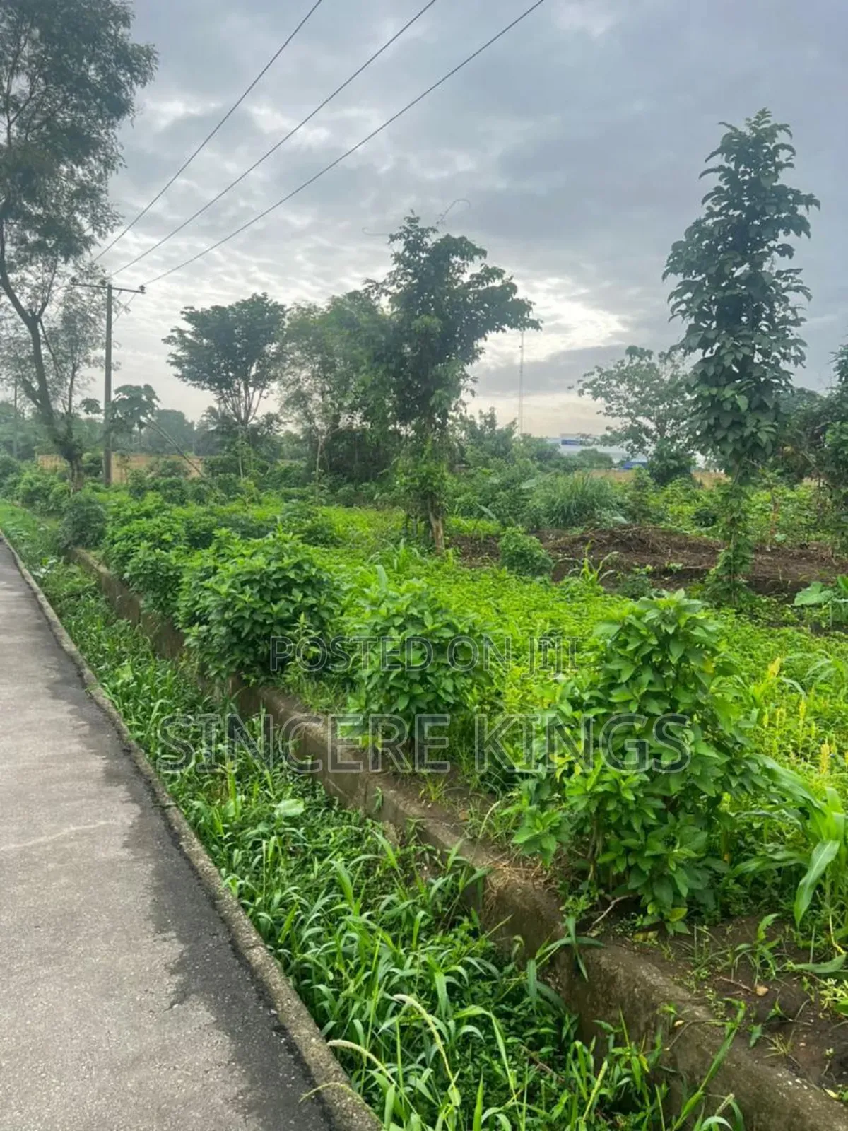 Land for Banking and Offices for Sale