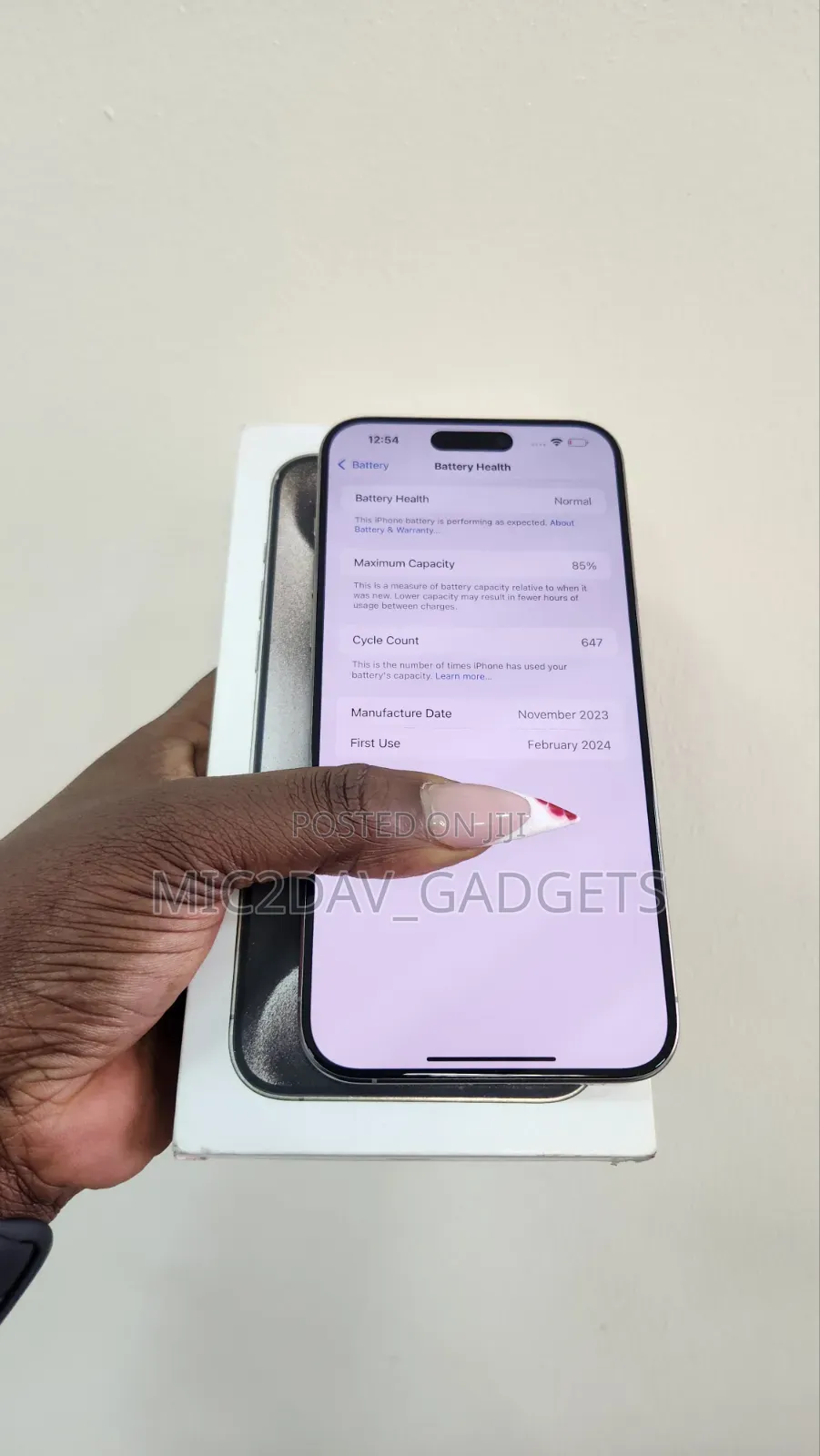 Apple iPhone 15 Pro Max 256 GB Silver