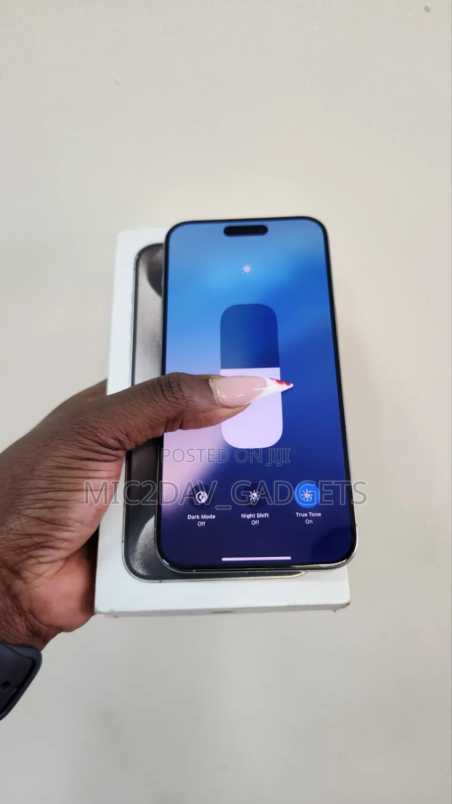 Apple iPhone 15 Pro Max 256 GB Silver