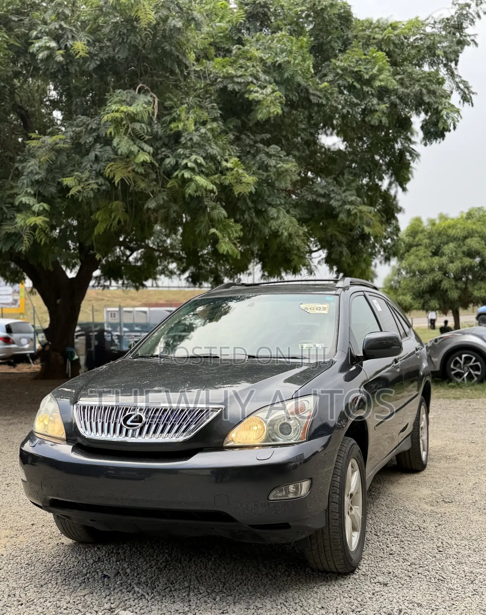 Lexus RX 330 2004 Gray